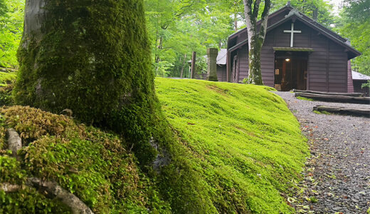 翡翠色に包まれて、旧軽井沢の苔を愛でる梅雨散歩！
