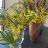 ハルニレテラスもミモザ色、花を飾って軽井沢に春を呼ぼう