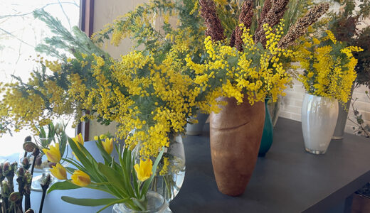 ハルニレテラスもミモザ色、花を飾って軽井沢に春を呼ぼう