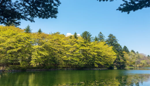 キラキラの5月、始まりました！