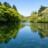 いいお天気だと、つい出かけたくなる雲場池