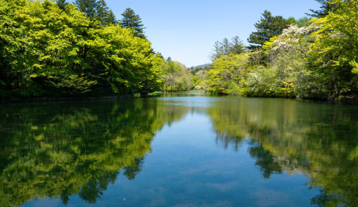 いいお天気だと、つい出かけたくなる雲場池