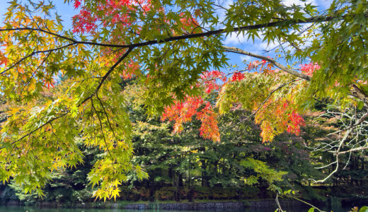 軽井沢の紅葉はじまりました