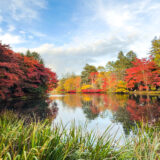 紅葉の夕暮れ散歩 〜雲場池へ