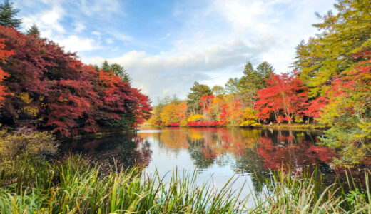 紅葉の夕暮れ散歩　〜雲場池へ