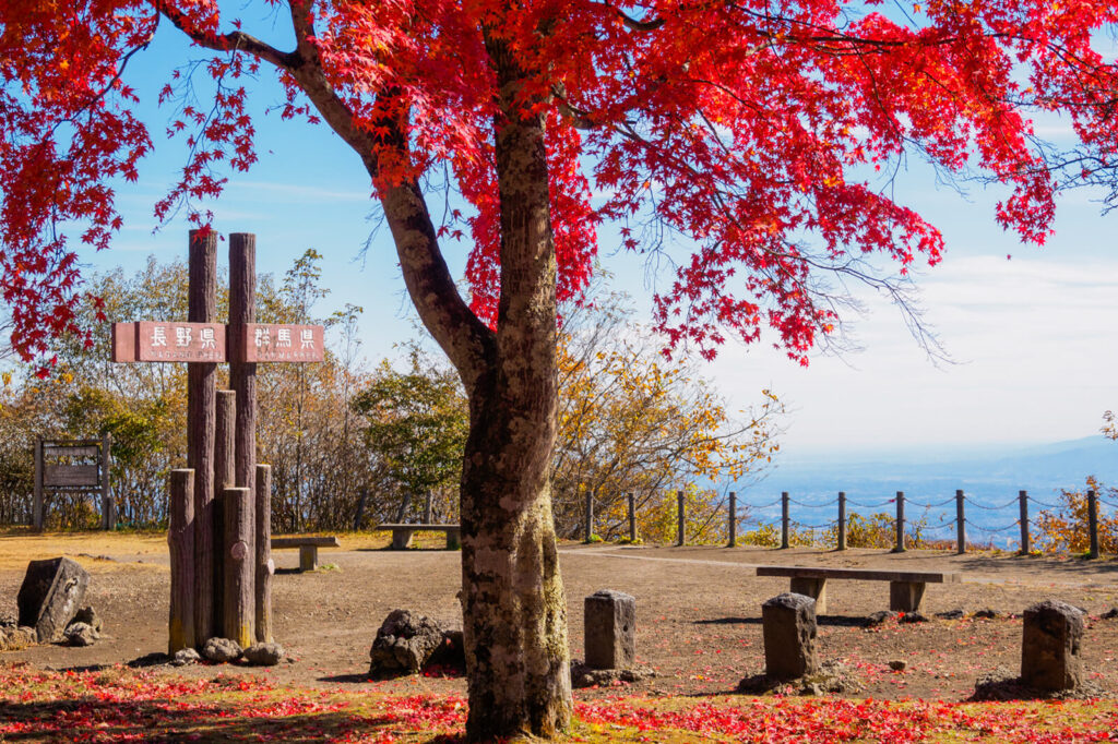 紅葉の碓氷峠見晴台へ｜軽井沢から赤バスで行く秋さんぽと力もちランチ