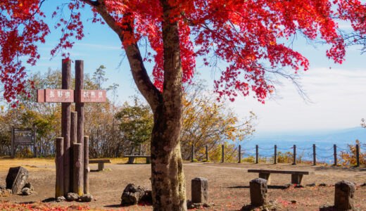 紅葉の碓氷峠見晴台へ｜軽井沢から赤バスで行く秋散歩と力もち
