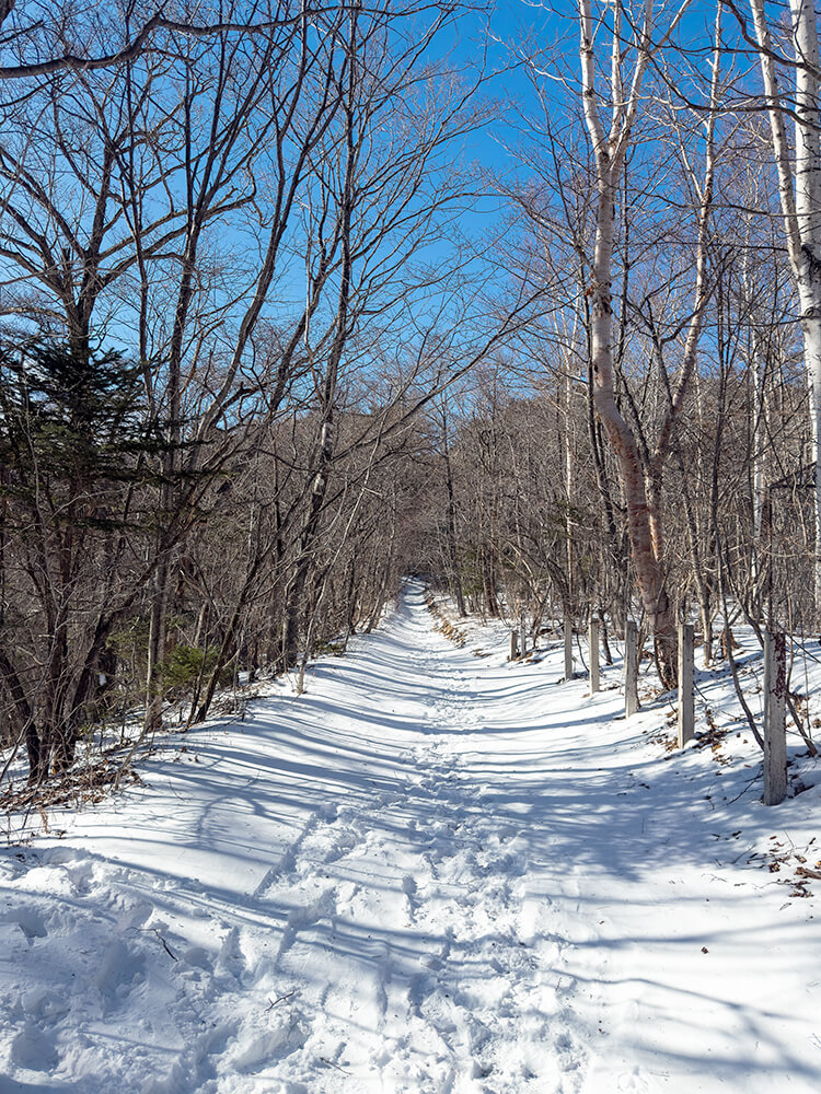 山頂付近の開けた斜面に立つ、雪に埋まった「山頂へ」と書かれた木製の道標
