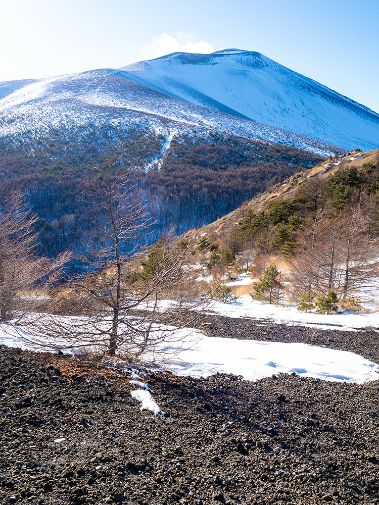 山頂付近の開けた斜面に立つ、雪に埋まった「山頂へ」と書かれた木製の道標