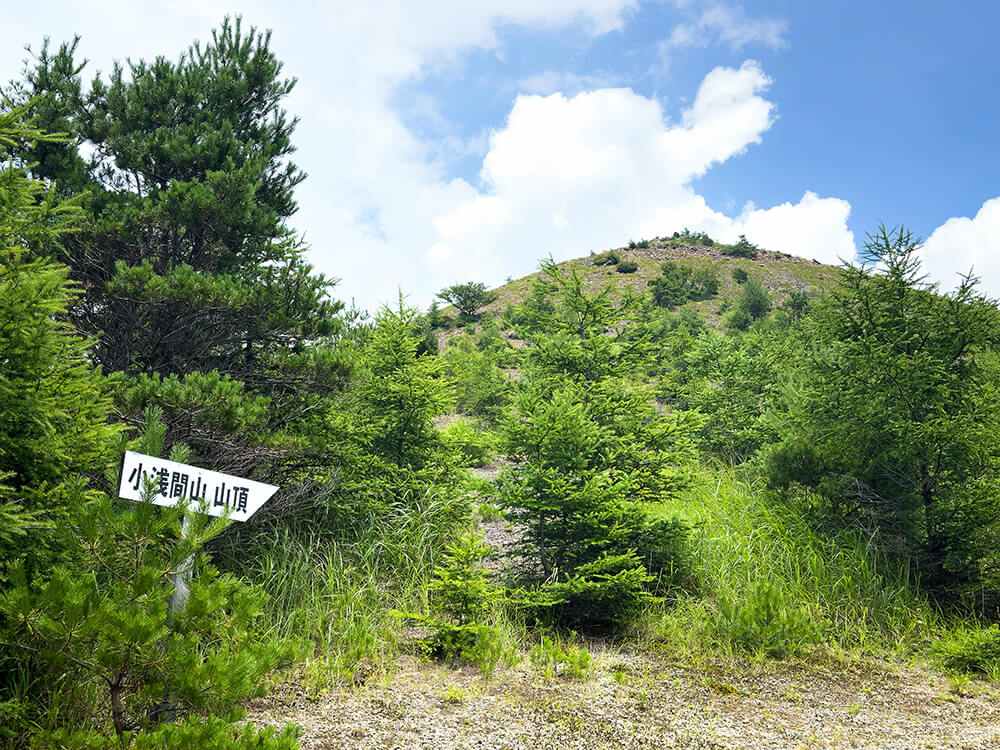夏の青空の下、緑の木々に囲まれた「山頂へ」の木製道標と登山道