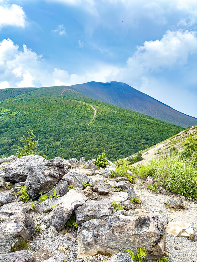 深い緑に覆われた夏の浅間山と、夏らしい力強い入道雲が広がる空