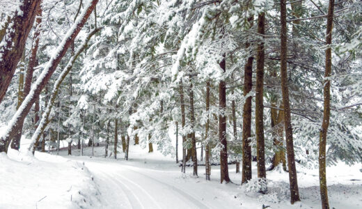 3月3日、まさかの雪景色