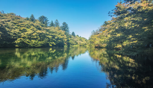 秋の気配を探して軽井沢さんぽ